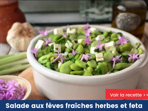 Salade aux fèves fraîches herbes et feta